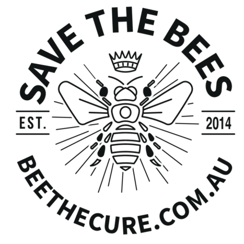 Bee Socks - HoneyBee Hives