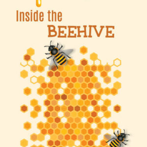 Inside The Beehive Booklet - HoneyBee Hives