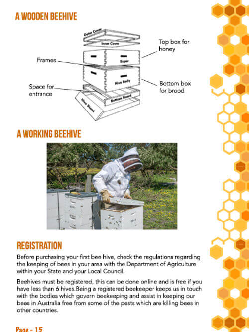 Inside The Beehive Booklet - HoneyBee Hives