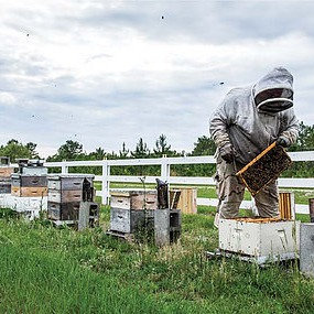 complete beekeeping starter kit