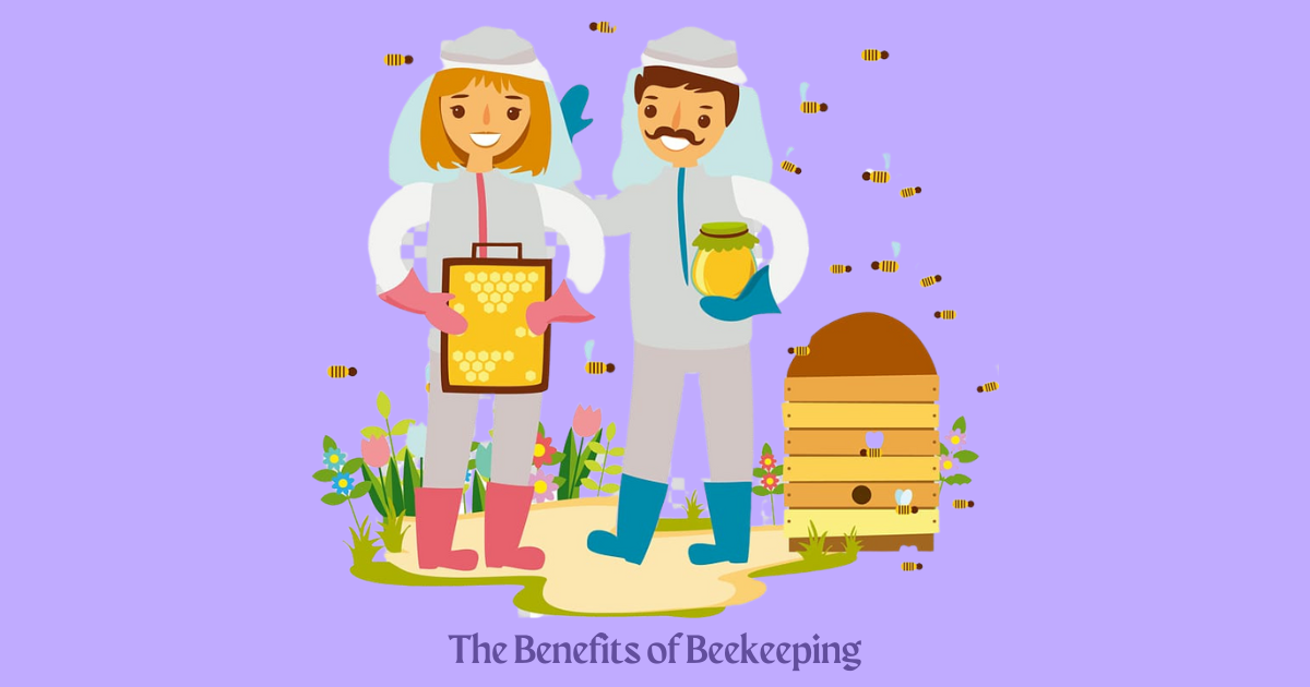The Benefits of Beekeeping HoneyBee Hives