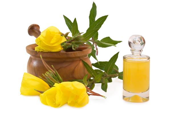 Evening Primrose Seeds and Oil