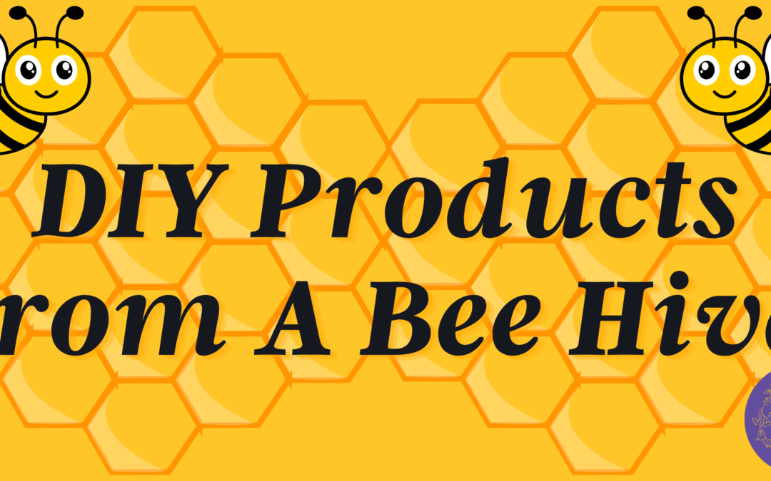 Free DIY Products From A Bee Hive Workshop