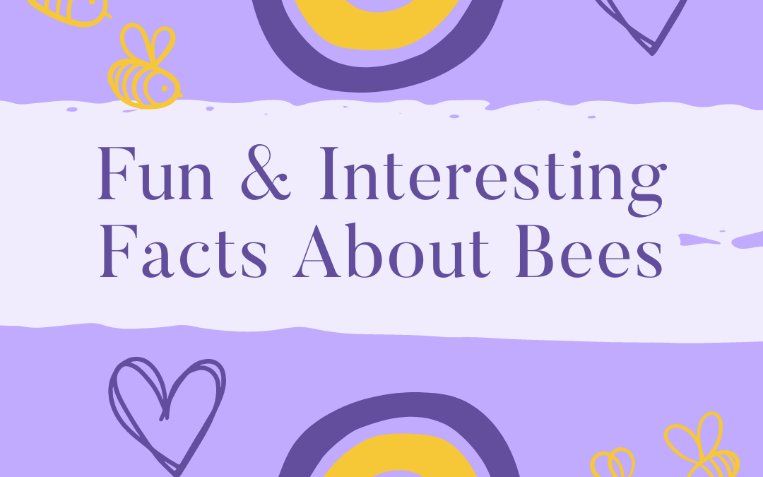 Fun Facts About Bees