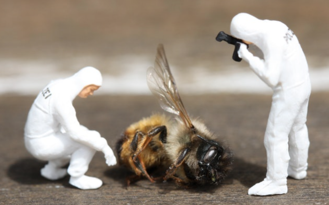 Pesticides Kill Bees