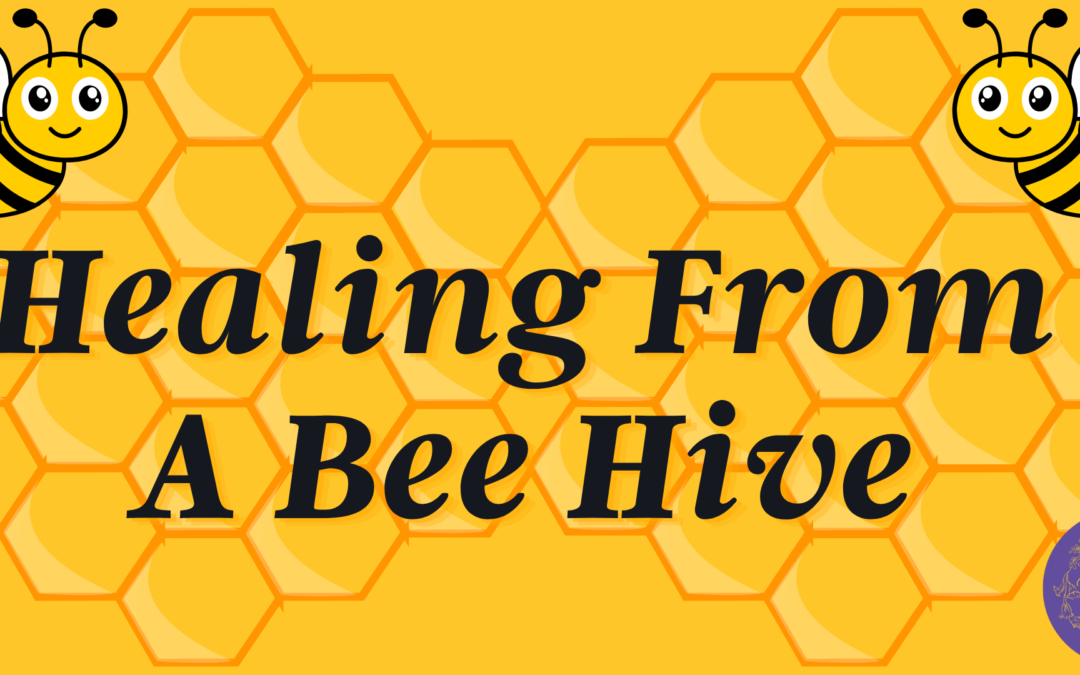 Healing From A Bee Hive Workshop