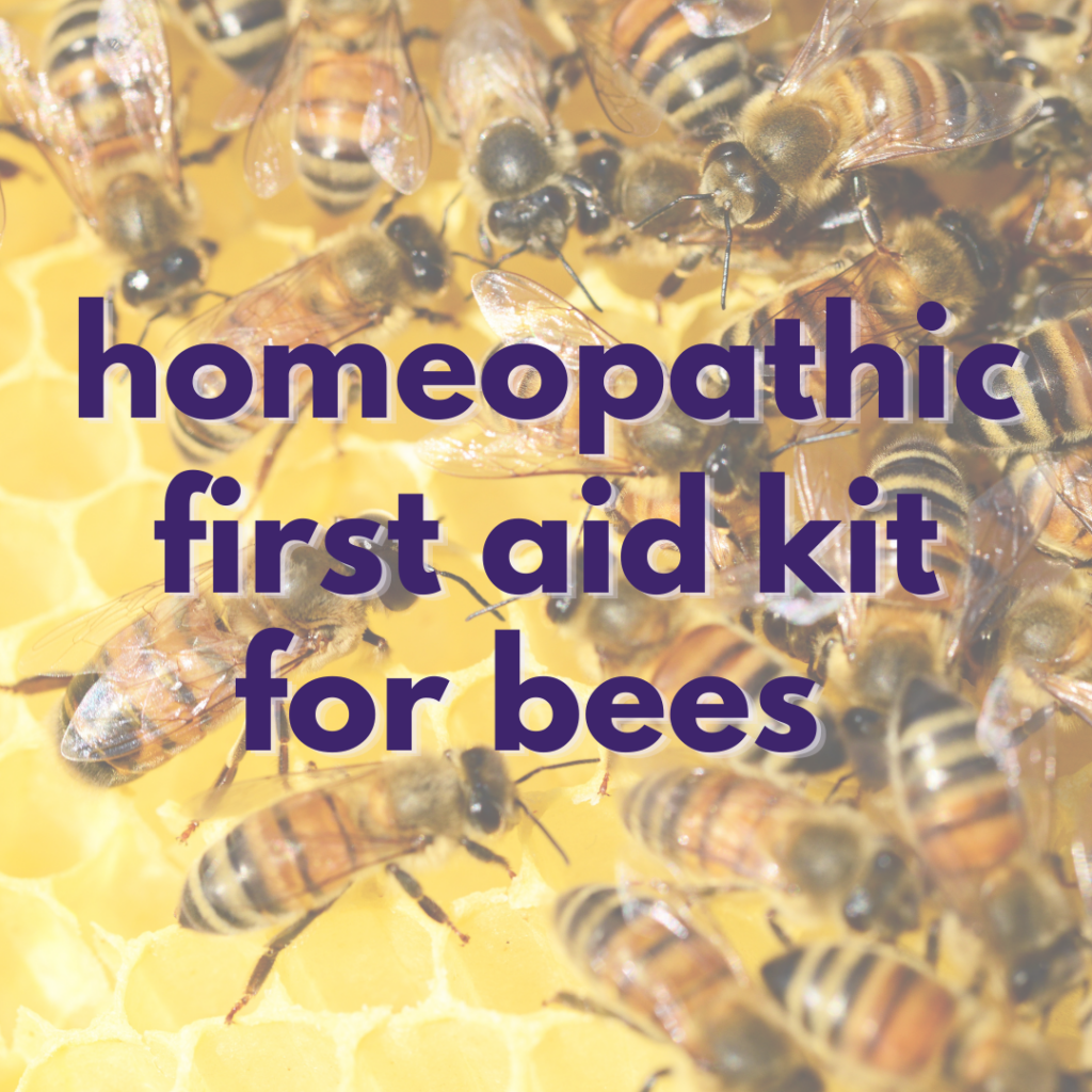 Homeopathic First Aid Kit For Bees HoneyBee Hives